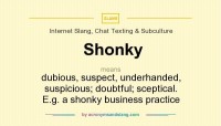 shonky1